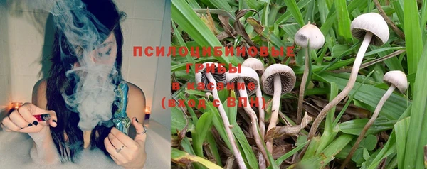 кокаин колумбия Белокуриха