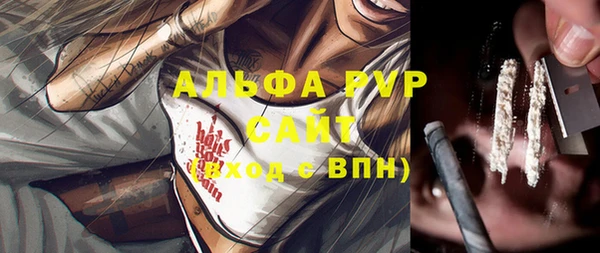 шишки Осташков